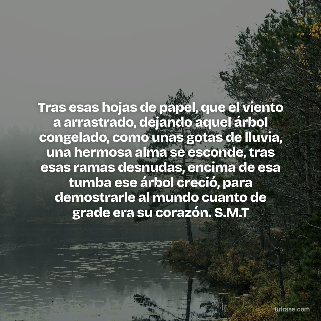 Tras esas hojas de papel, que el viento a arrastrado, dejando aquel árbol congelado, como unas gotas de lluvia, una hermosa alma se esconde, tras esas ramas desnudas, encima de esa tumba ese árbol creció, para demostrarle al mundo cuanto de grade era su corazón. S.M.T