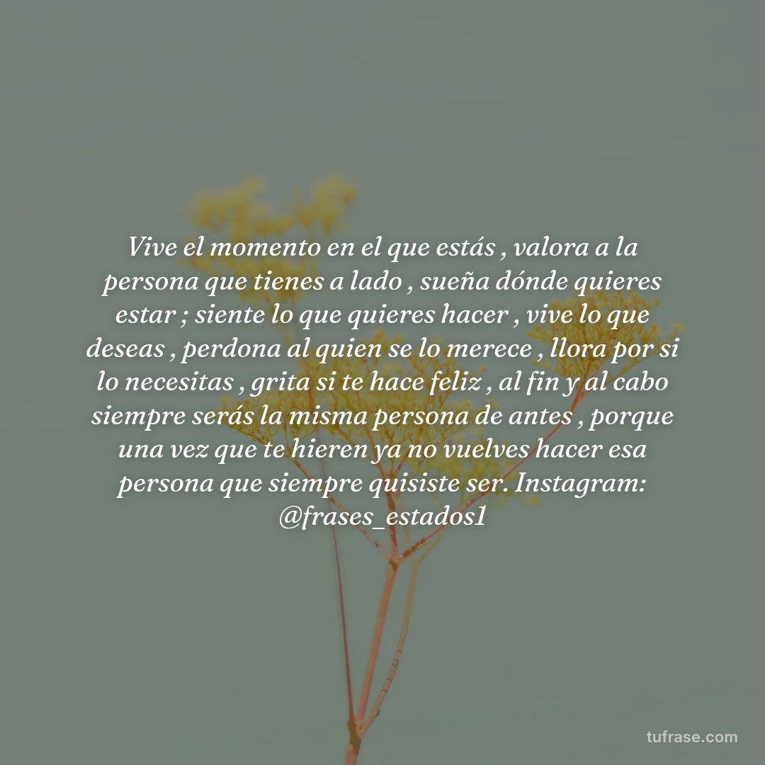 Vive el momento en el que estás , valora a la persona que tienes a lado , sueña dónde quieres estar ; siente lo que quieres hacer , vive lo que deseas , perdona al quien se lo merece , llora por si lo necesitas , grita si te hace feliz , al fin y al cabo siempre serás la misma persona de antes , porque una vez que te hieren ya no vuelves hacer esa persona que siempre quisiste ser. Instagram: @frases_estados1