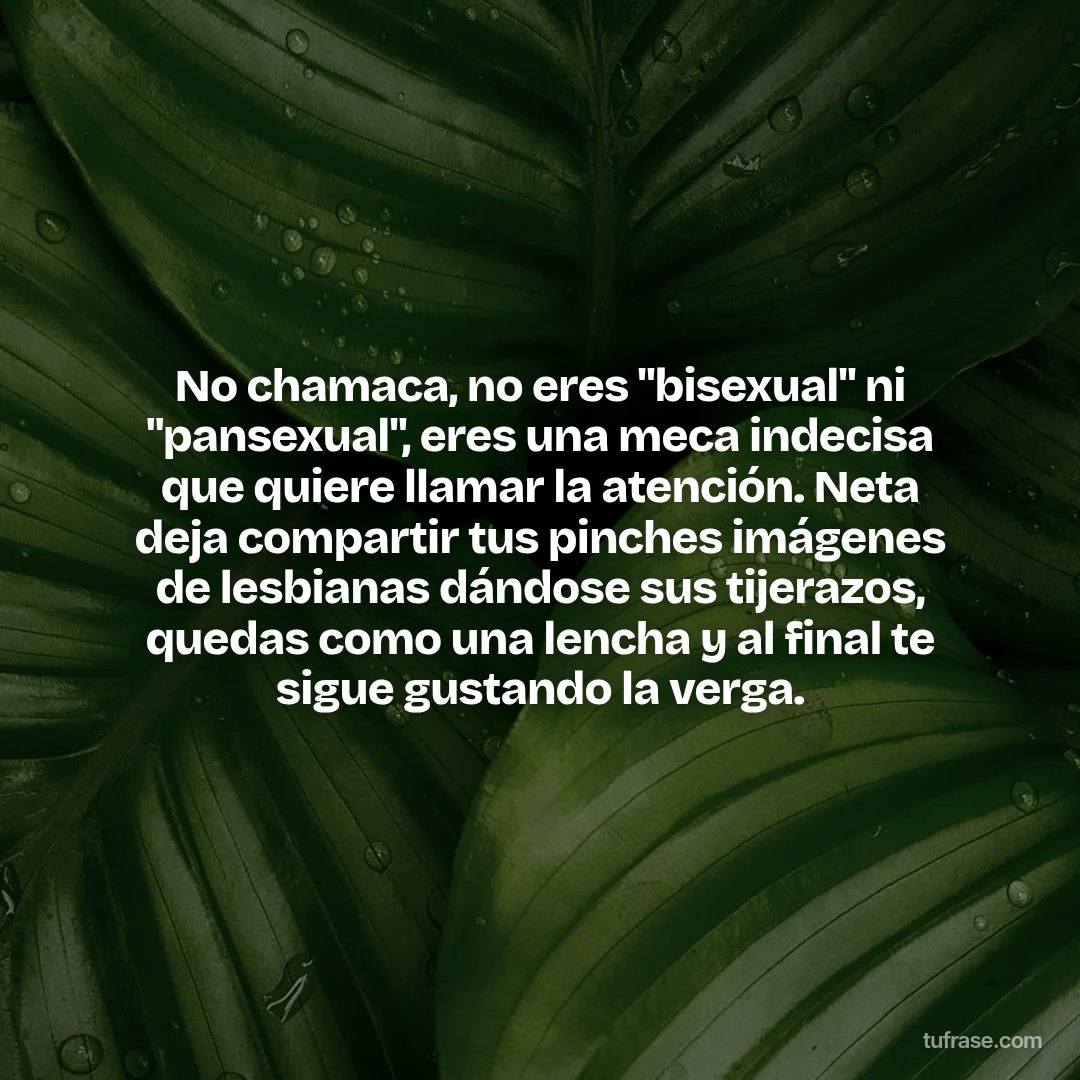 No chamaca, no eres "bisexual" ni "pansexual", eres una meca indecisa que quiere llamar la atención. Neta deja compartir tus pinches imágenes de lesbianas dándose sus tijerazos, quedas como una lencha y al final te sigue gustando la verga.