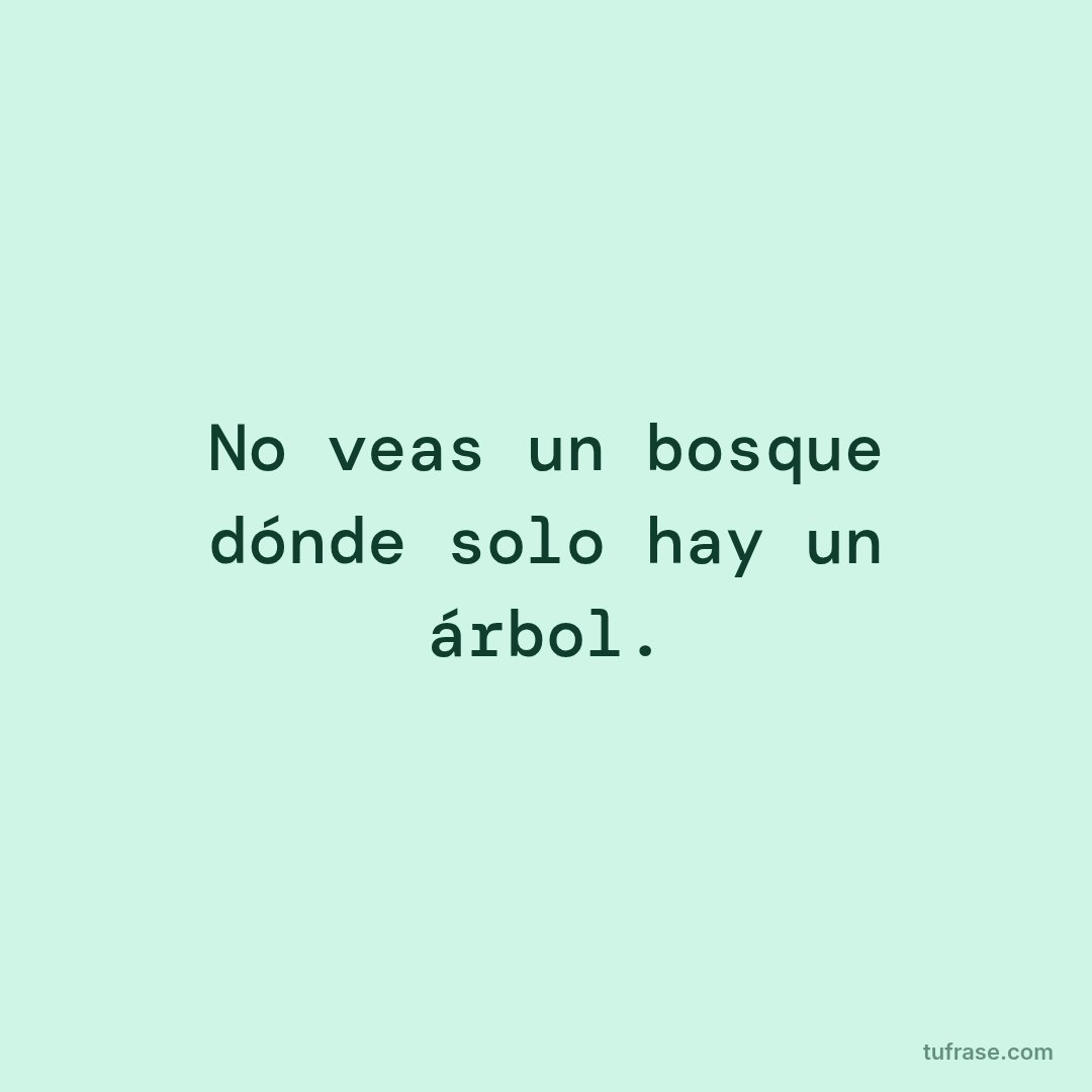 No veas un bosque dónde solo hay un árbol.