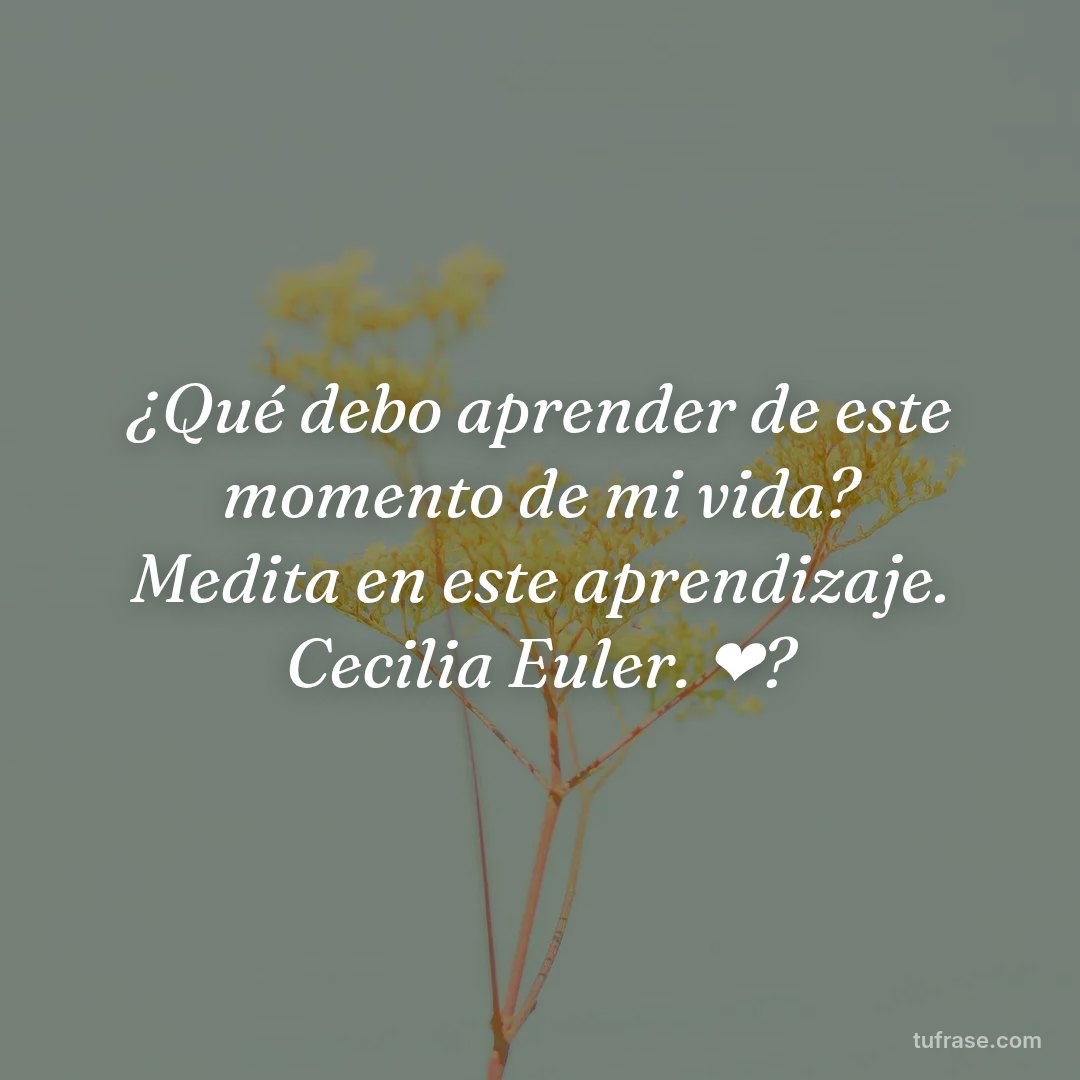 ¿Qué debo aprender de este momento de mi vida? Medita en este aprendizaje. Cecilia Euler. ❤?