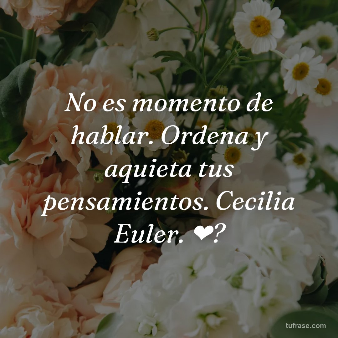 No es momento de hablar. Ordena y aquieta tus pensamientos. Cecilia Euler. ❤?