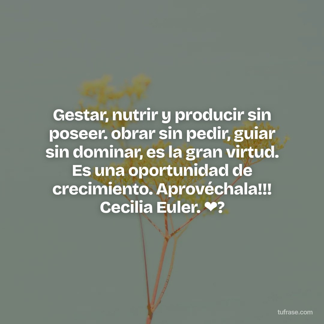 Gestar, nutrir y producir sin poseer. obrar sin pedir, guiar sin dominar, es la gran virtud. Es una oportunidad de crecimiento. Aprovéchala!!! Cecilia Euler. ❤?