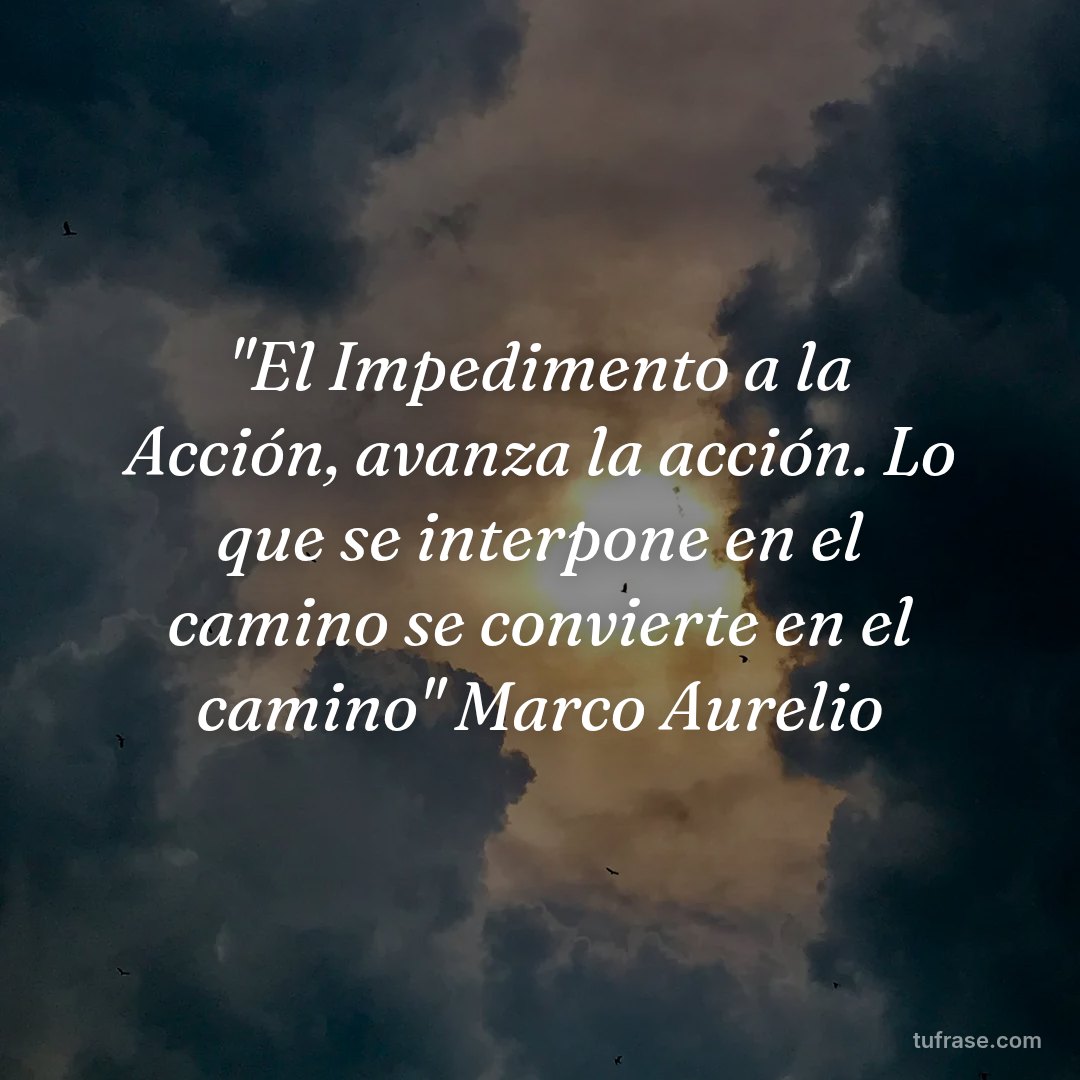 "El Impedimento a la Acción, avanza la acción. Lo que se interpone en el camino se convierte en el camino" Marco Aurelio