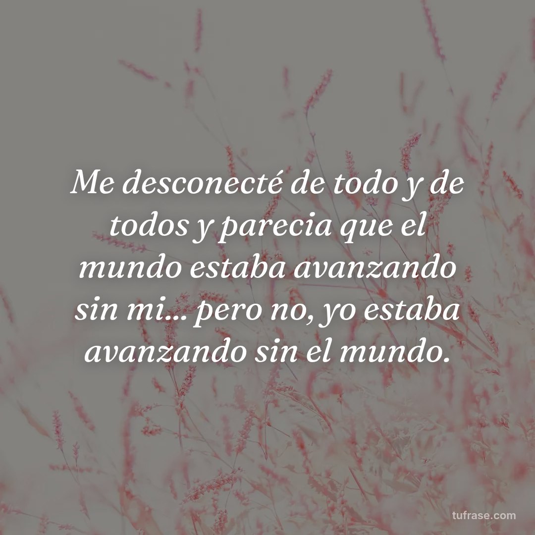 Me desconecté de todo y de todos y parecia que el mundo estaba avanzando sin mi... pero no, yo estaba avanzando sin el mundo.