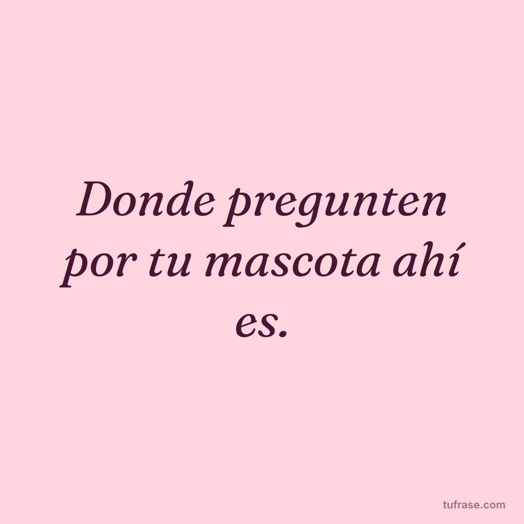 Donde pregunten por tu mascota ahí es.