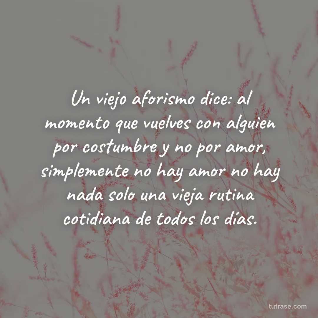 Un viejo aforismo dice: al momento que vuelves con alguien por costumbre y no por amor, simplemente no hay amor no hay nada solo una vieja rutina cotidiana de todos los días.