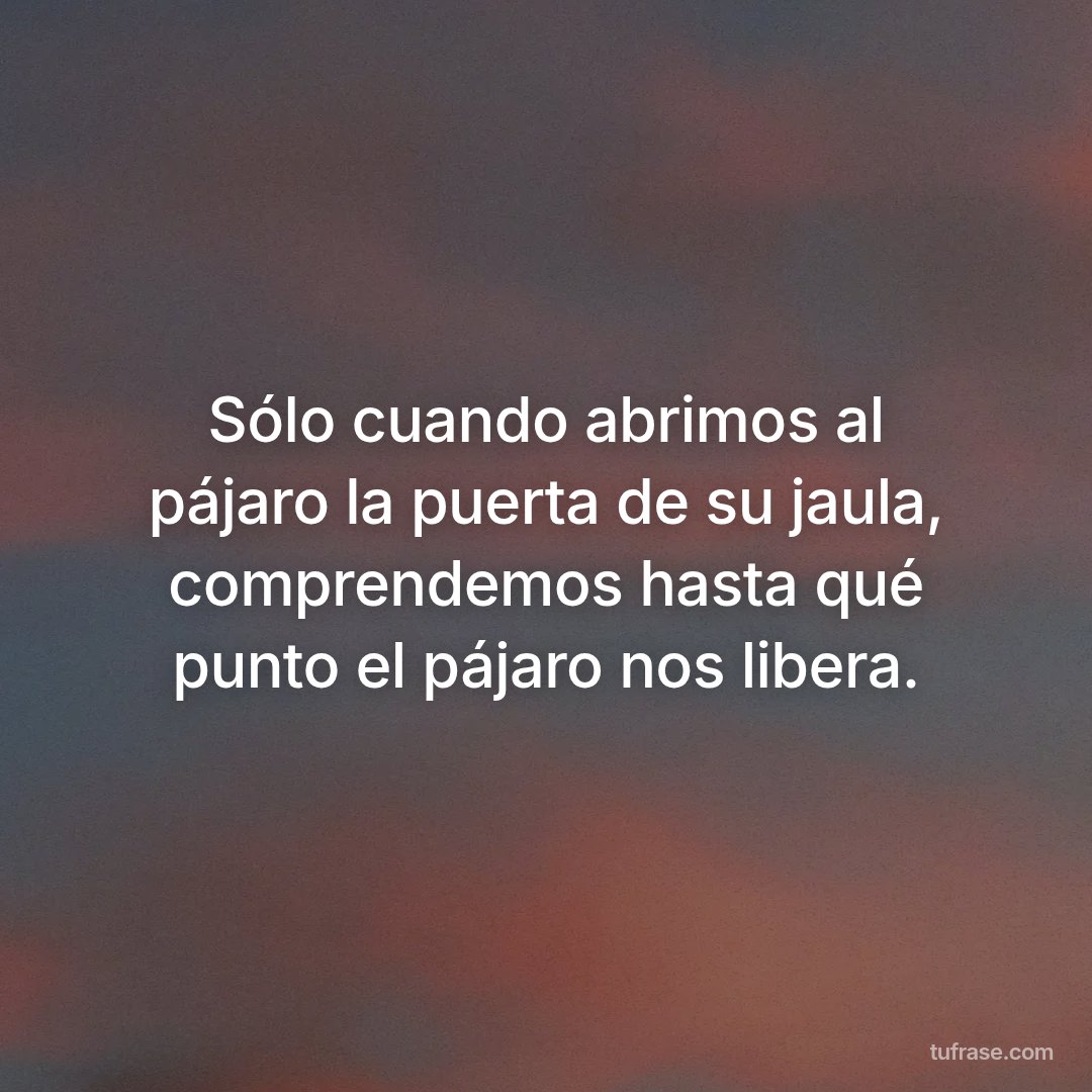Sólo cuando abrimos al pájaro la puerta de su jaula, comprendemos hasta qué punto el pájaro nos libera.