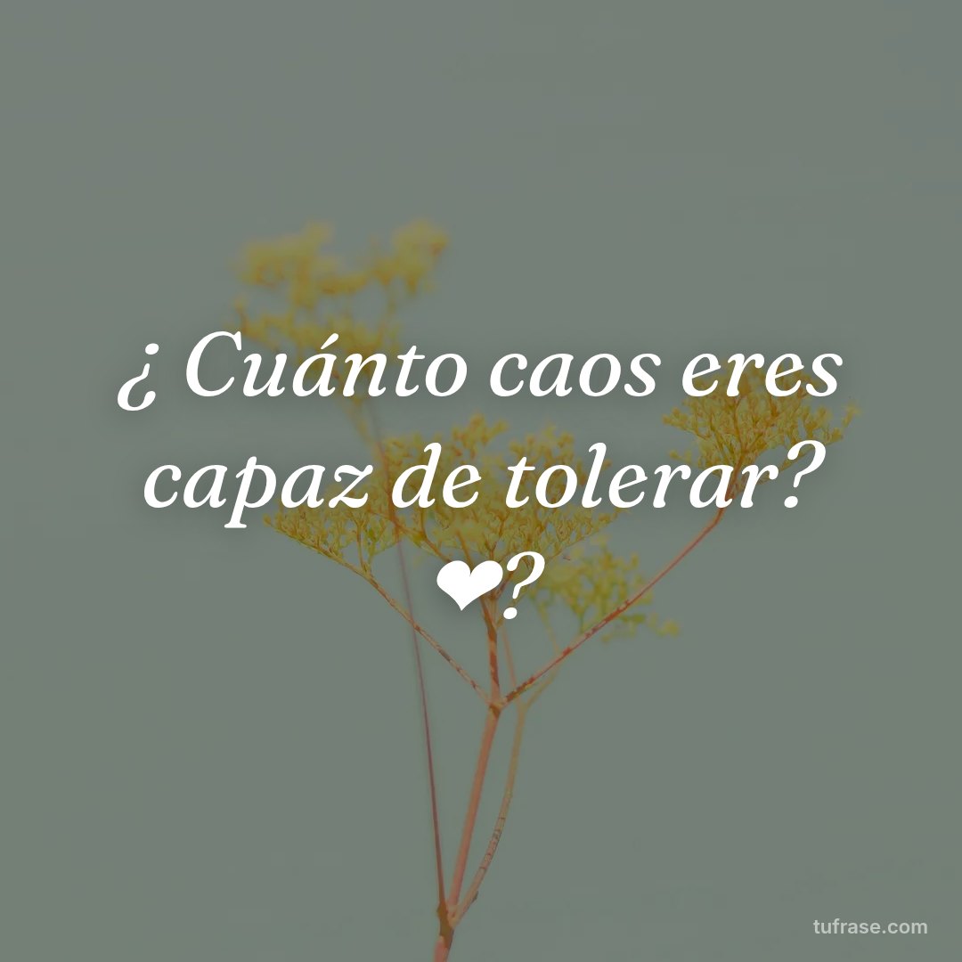 ¿ Cuánto caos eres capaz de tolerar? ❤?