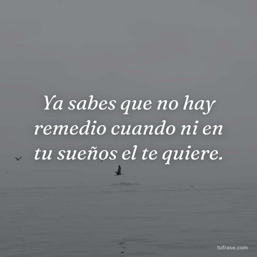 Ya sabes que no hay remedio cuando ni en tu sueños el te quiere.