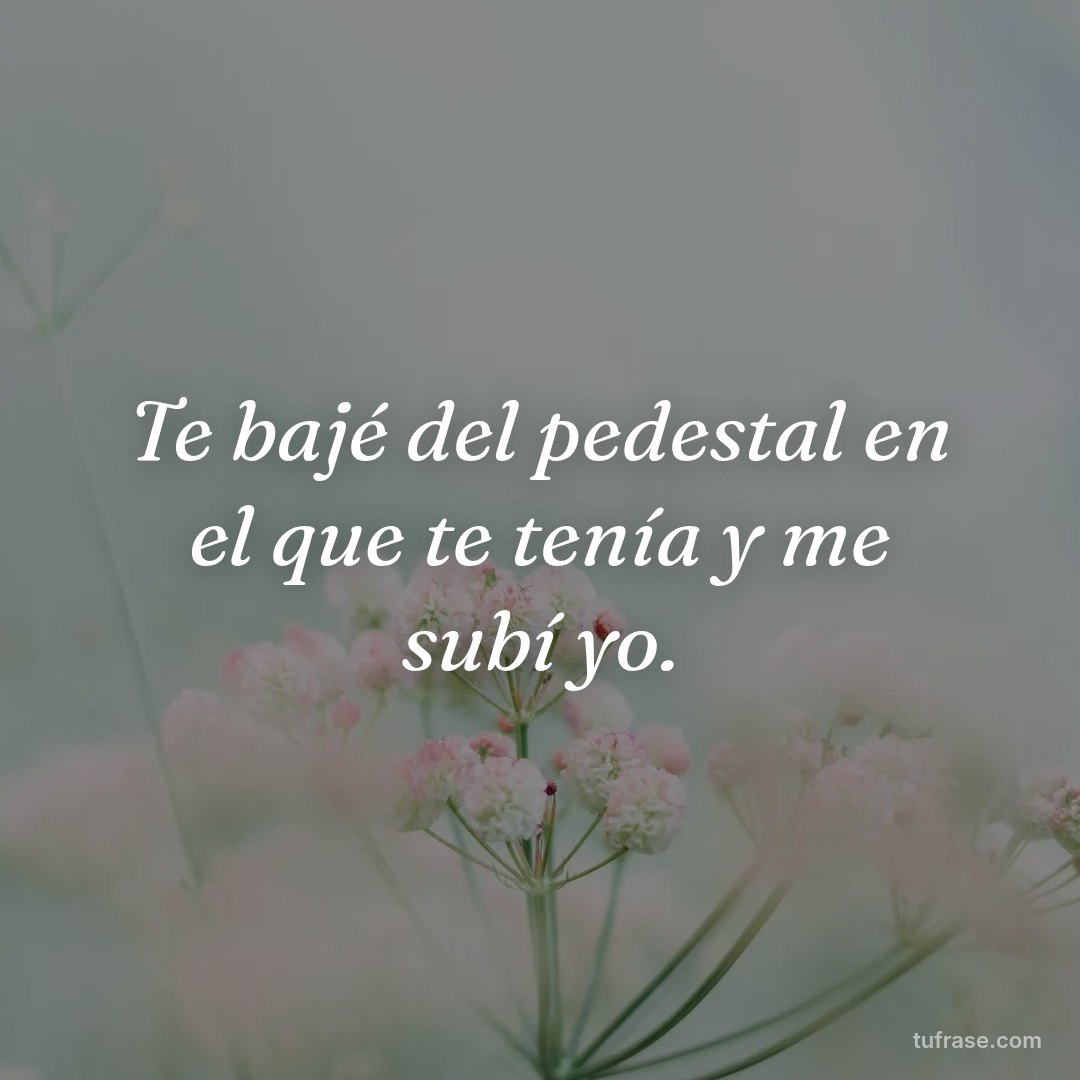 Te bajé del pedestal en el que te tenía y me subí yo.