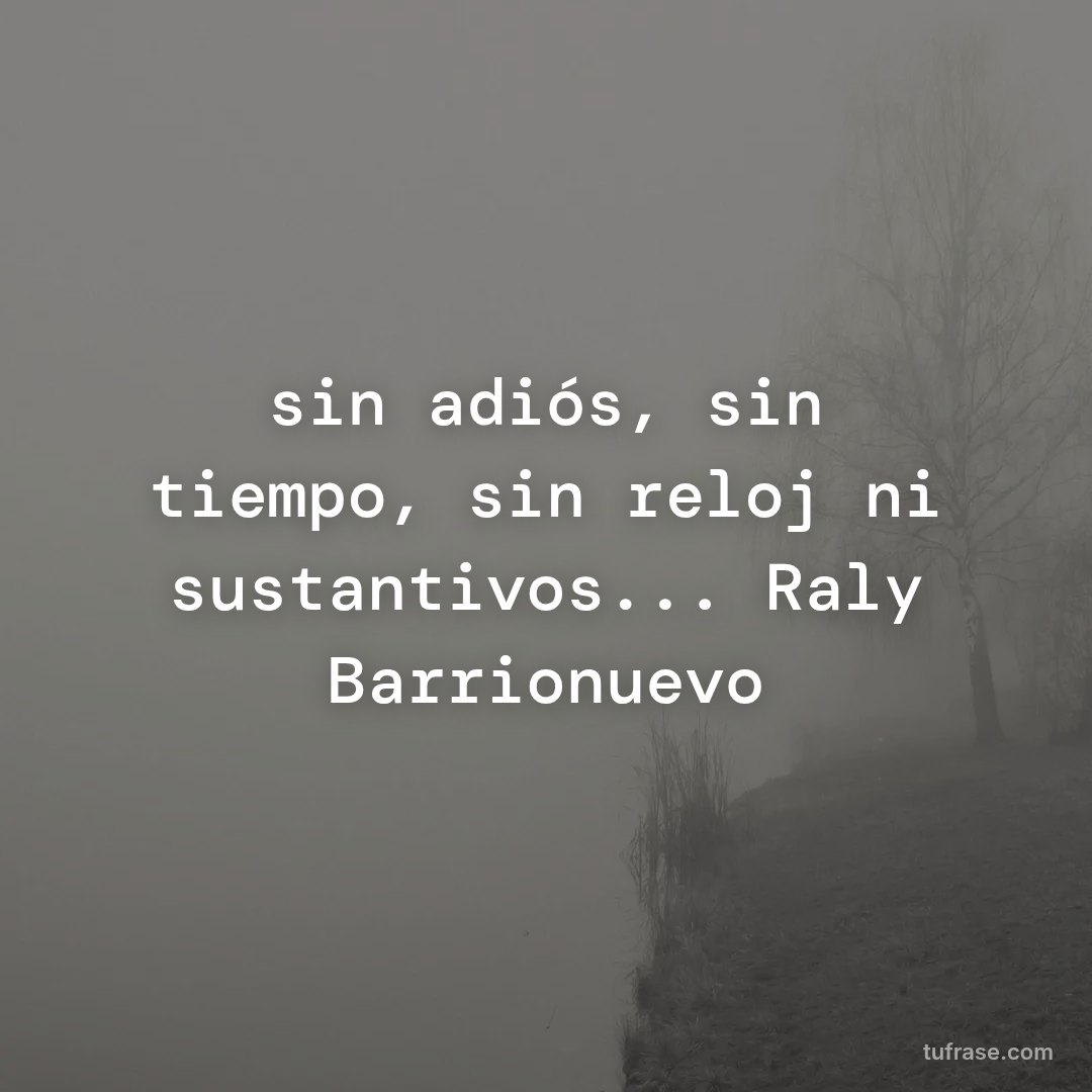 sin adiós, sin tiempo, sin reloj ni sustantivos... Raly Barrionuevo