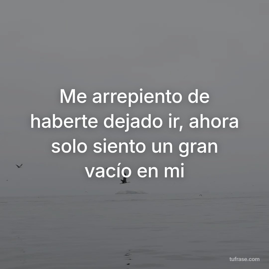Me arrepiento de haberte dejado ir, ahora solo siento un gran vacío en mi