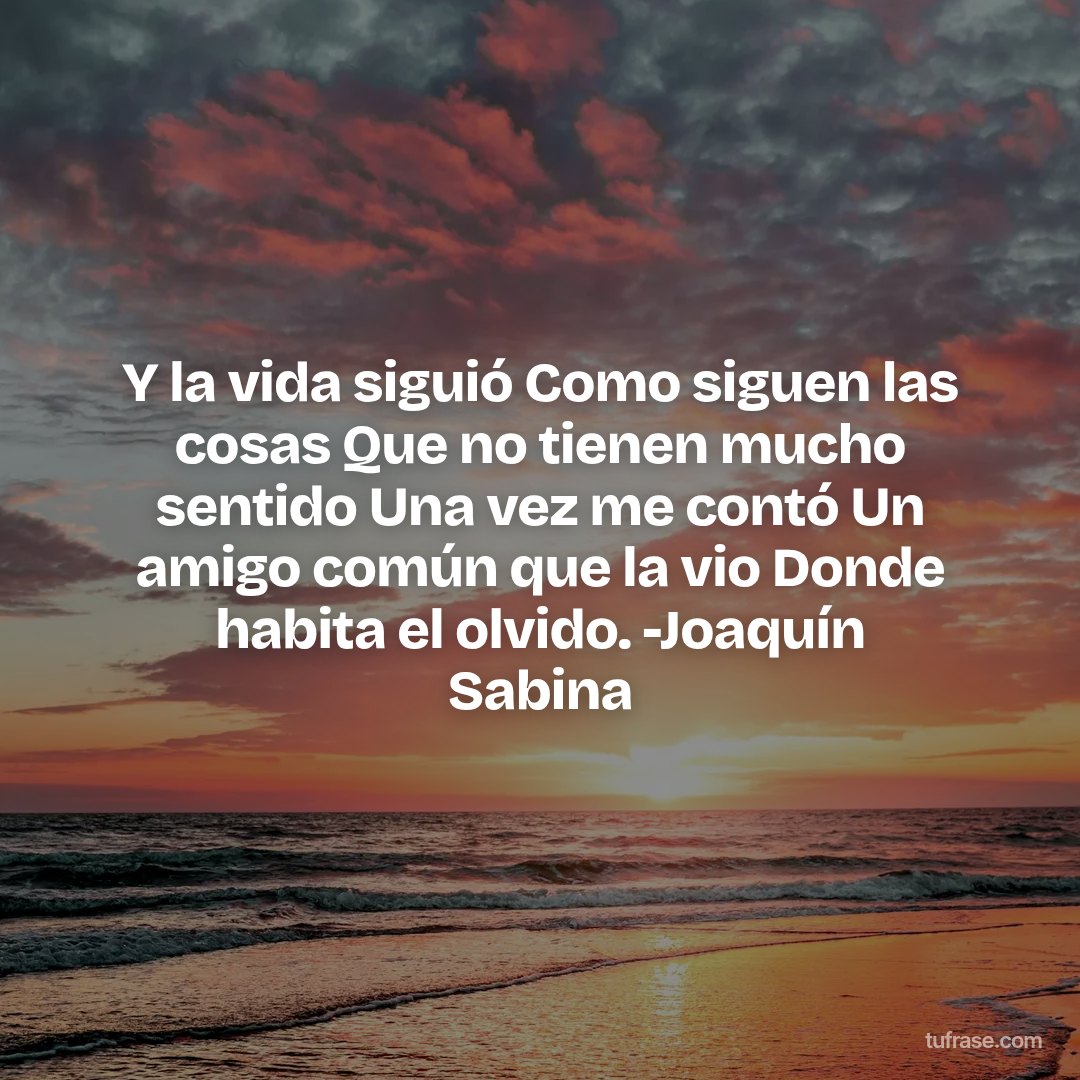 Y la vida siguió Como siguen las cosas Que no tienen mucho sentido Una vez me contó Un amigo común que la vio Donde habita el olvido. -Joaquín Sabina