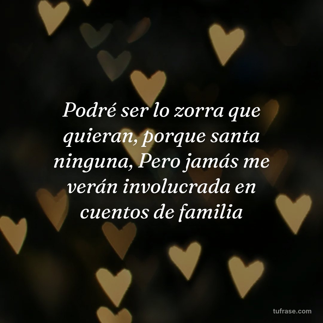 Podré ser lo zorra que quieran, porque santa ninguna, Pero jamás me verán involucrada en cuentos de familia