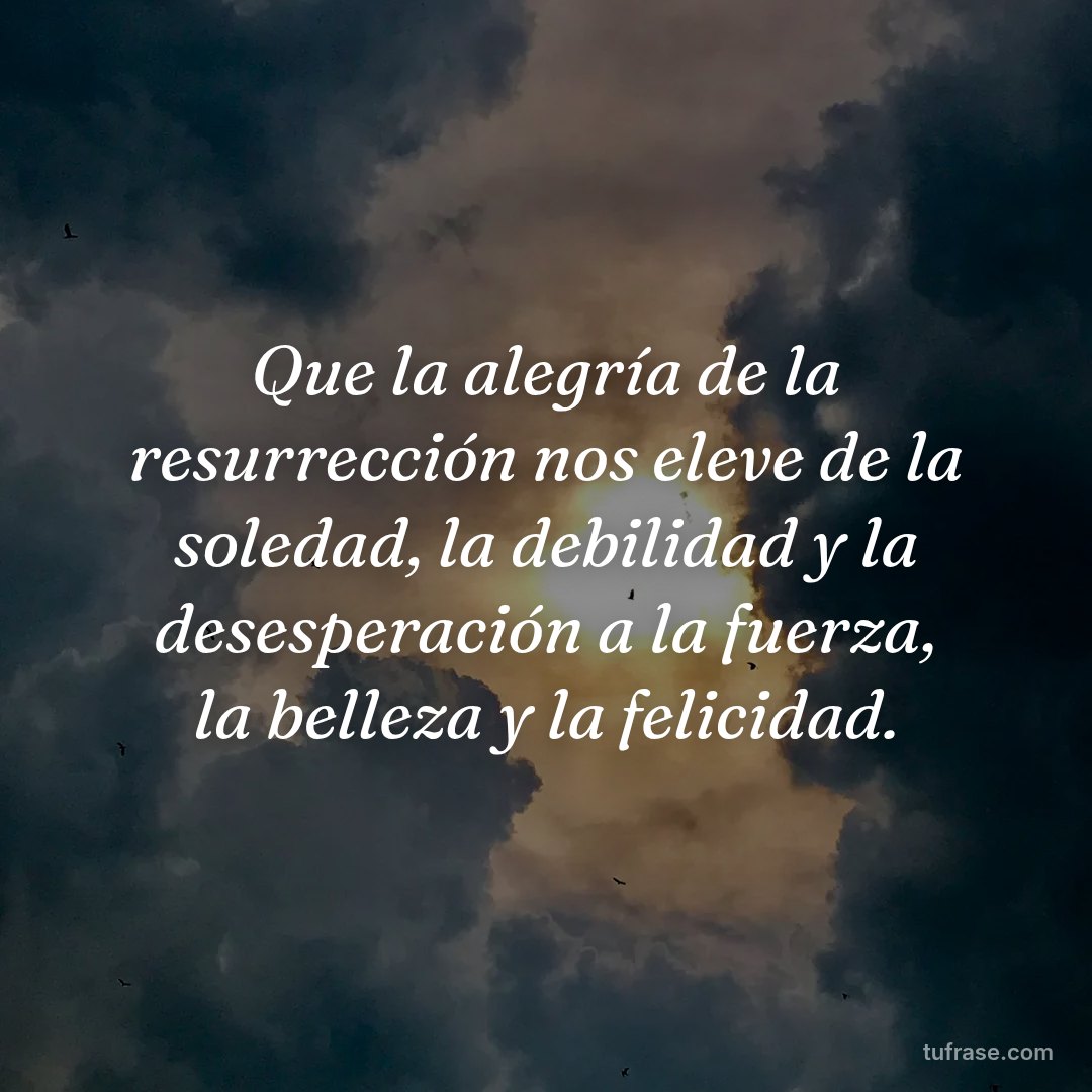 Que la alegría de la resurrección nos eleve de la soledad, la debilidad y la desesperación a la fuerza, la belleza y la felicidad.
