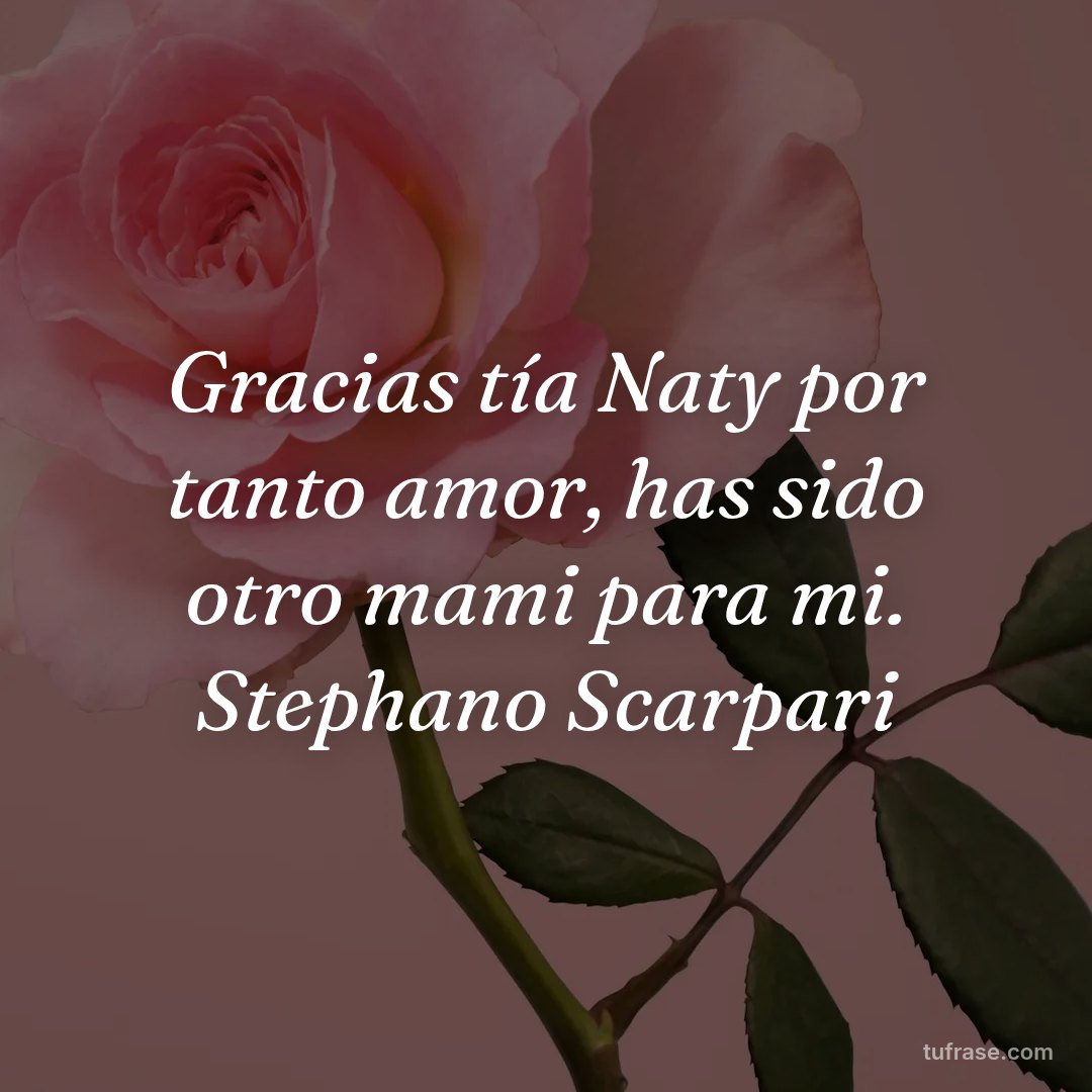 Gracias tía Naty por tanto amor, has sido otro mami para mi. Stephano Scarpari