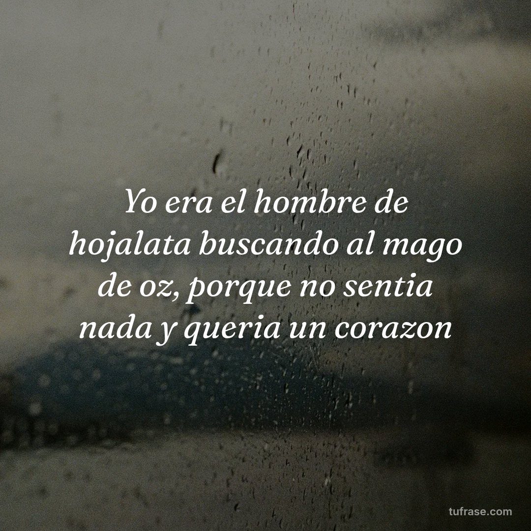 Yo era el hombre de hojalata buscando al mago de oz, porque no sentia nada y queria un corazon