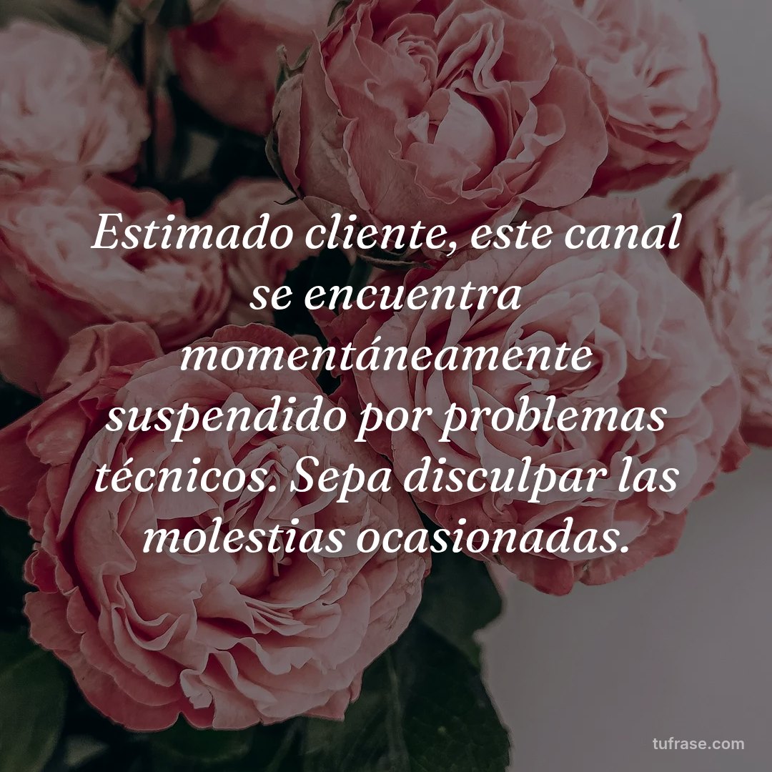 Estimado cliente, este canal se encuentra momentáneamente suspendido por problemas técnicos. Sepa disculpar las molestias ocasionadas.