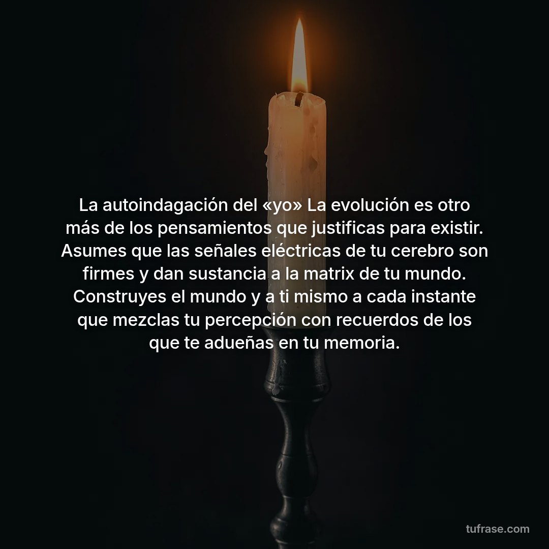 La autoindagación del «yo» La evolución es otro más de los pensamientos que justificas para existir. Asumes que las señales eléctricas de tu cerebro son firmes y dan sustancia a la matrix de tu mundo. Construyes el mundo y a ti mismo a cada instante que mezclas tu percepción con recuerdos de los que te adueñas en tu memoria.