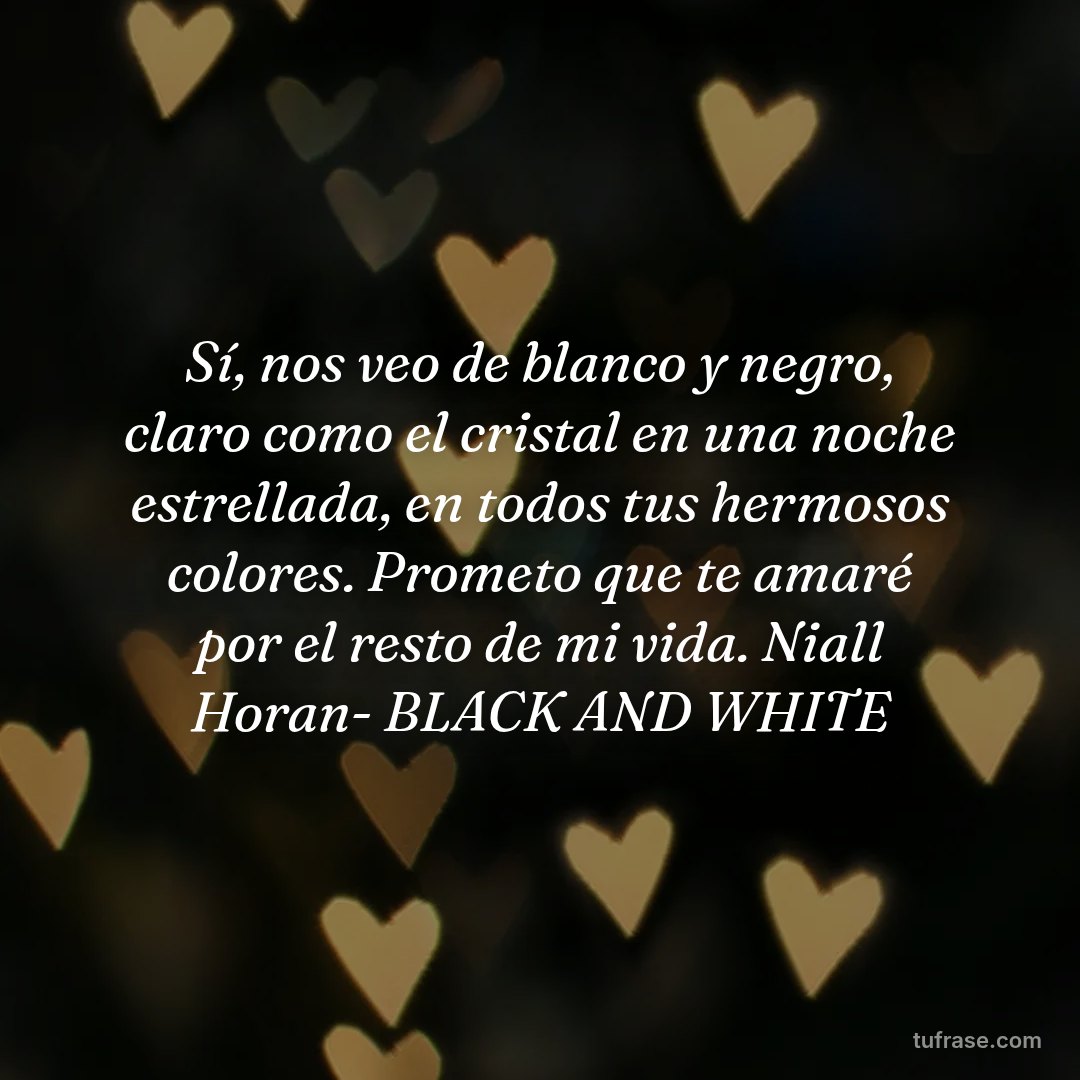 Sí, nos veo de blanco y negro, claro como el cristal en una noche estrellada, en todos tus hermosos colores. Prometo que te amaré por el resto de mi vida. Niall Horan- BLACK AND WHITE