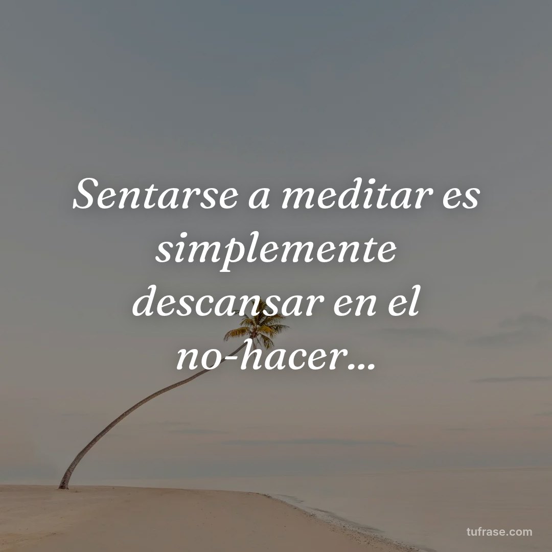 Sentarse a meditar es simplemente descansar en el no-hacer...