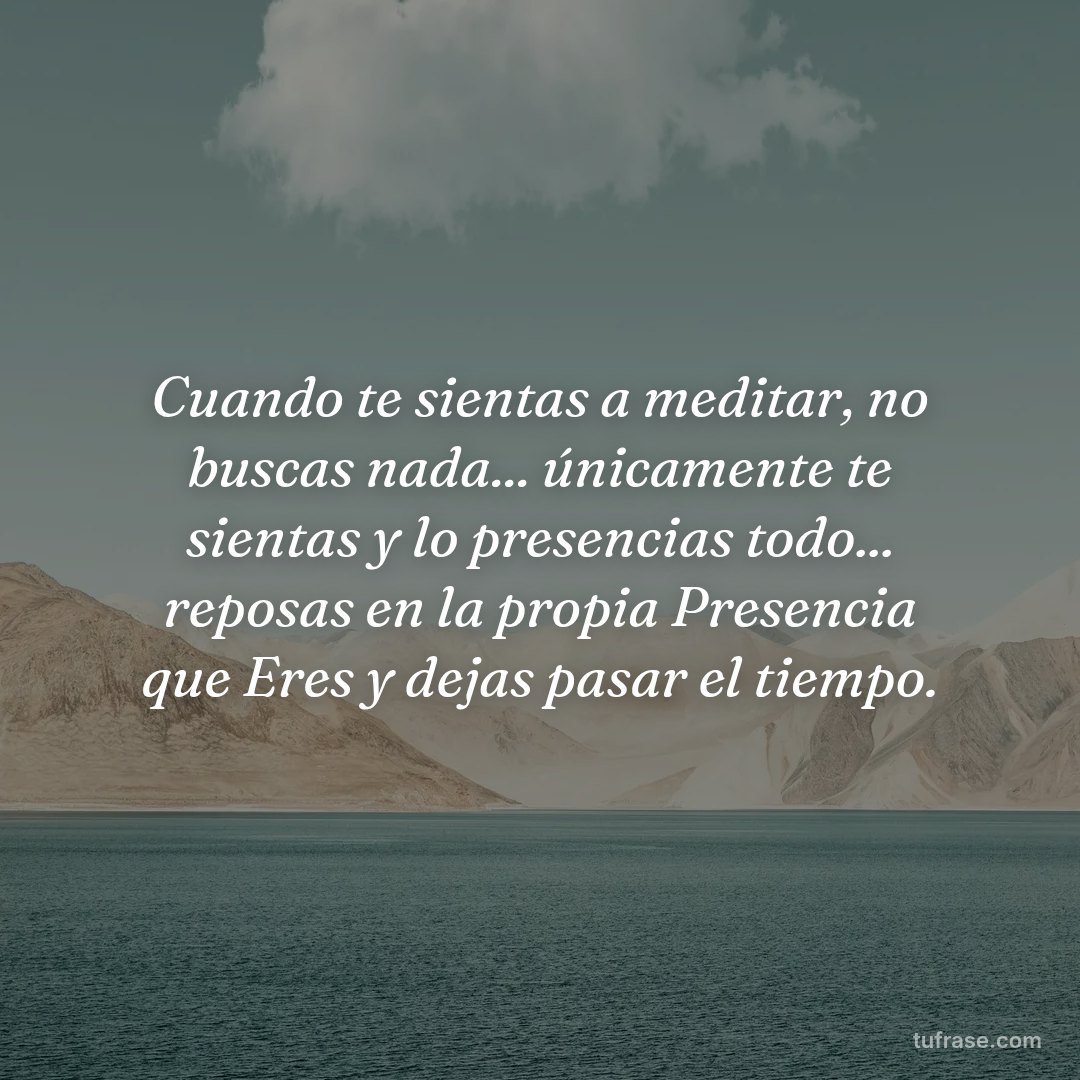Cuando te sientas a meditar, no buscas nada... únicamente te sientas y lo presencias todo... reposas en la propia Presencia que Eres y dejas pasar el tiempo.