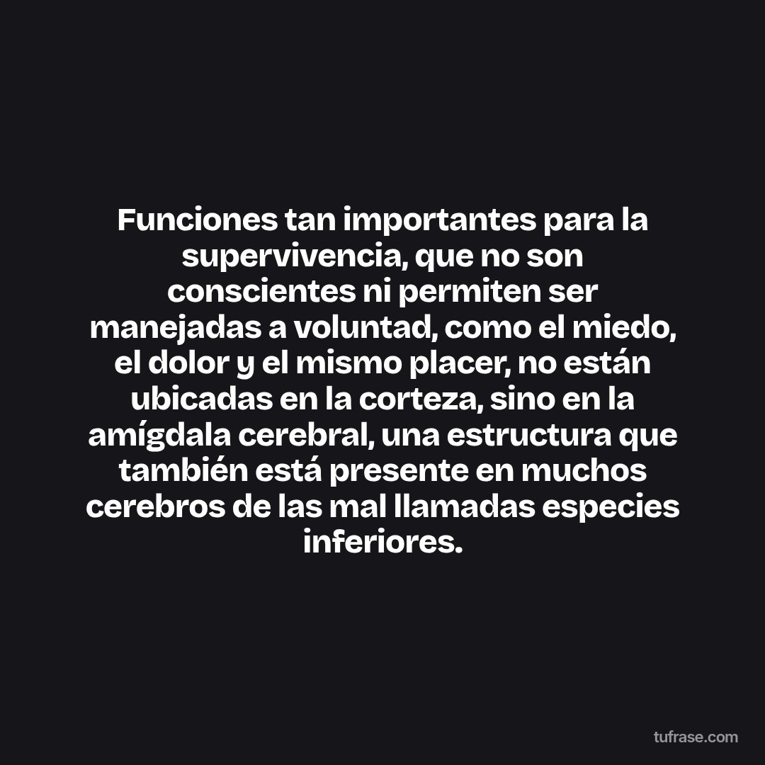 Funciones tan importantes para la supervivencia, que no son conscientes ni permiten ser manejadas a voluntad, como el miedo, el dolor y el mismo placer, no están ubicadas en la corteza, sino en la amígdala cerebral, una estructura que también está presente en muchos cerebros de las mal llamadas especies inferiores.
