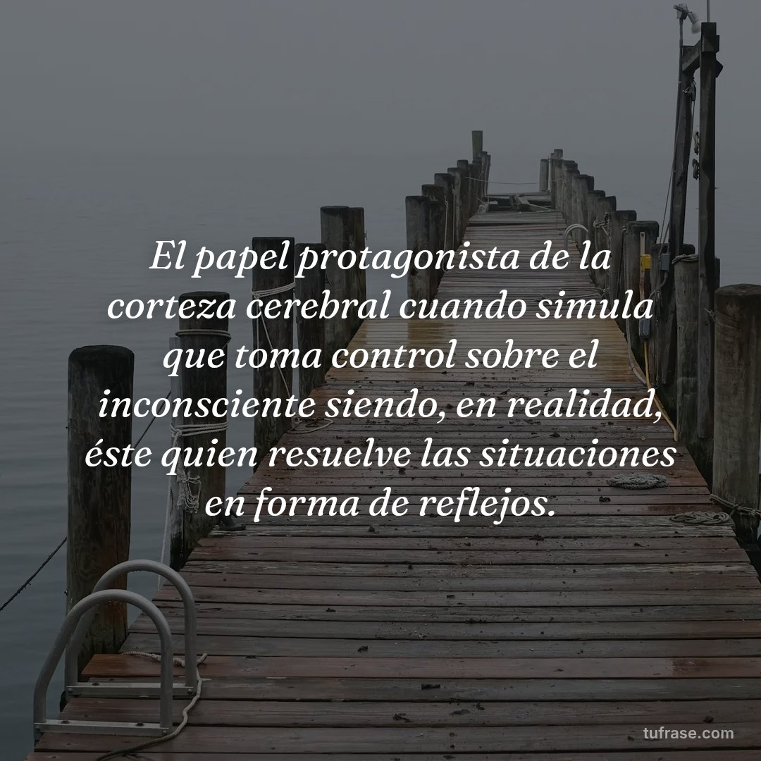 El papel protagonista de la corteza cerebral cuando simula que toma control sobre el inconsciente siendo, en realidad, éste quien resuelve las situaciones en forma de reflejos.