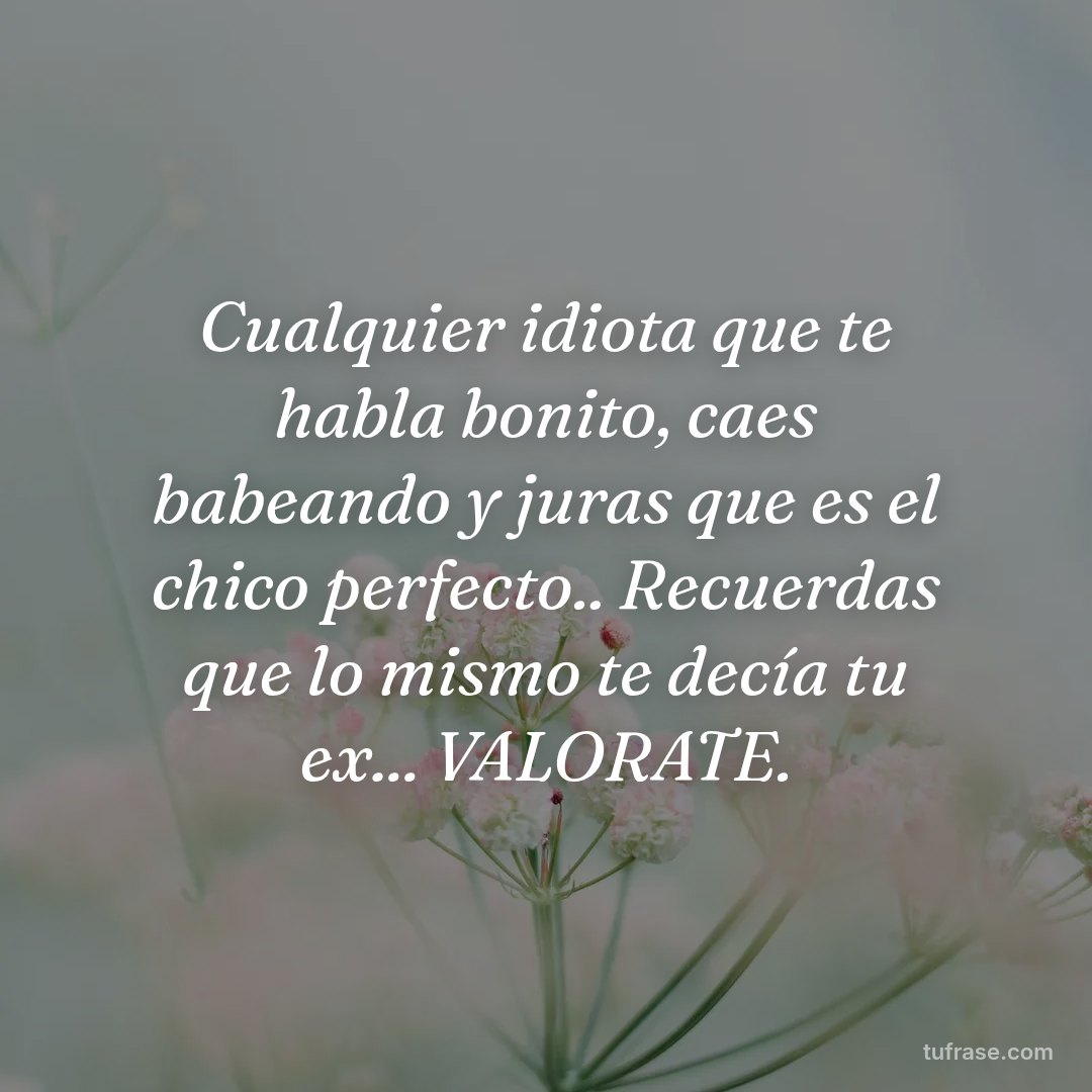 Cualquier idiota que te habla bonito, caes babeando y juras que es el chico perfecto.. Recuerdas que lo mismo te decía tu ex... VALORATE.