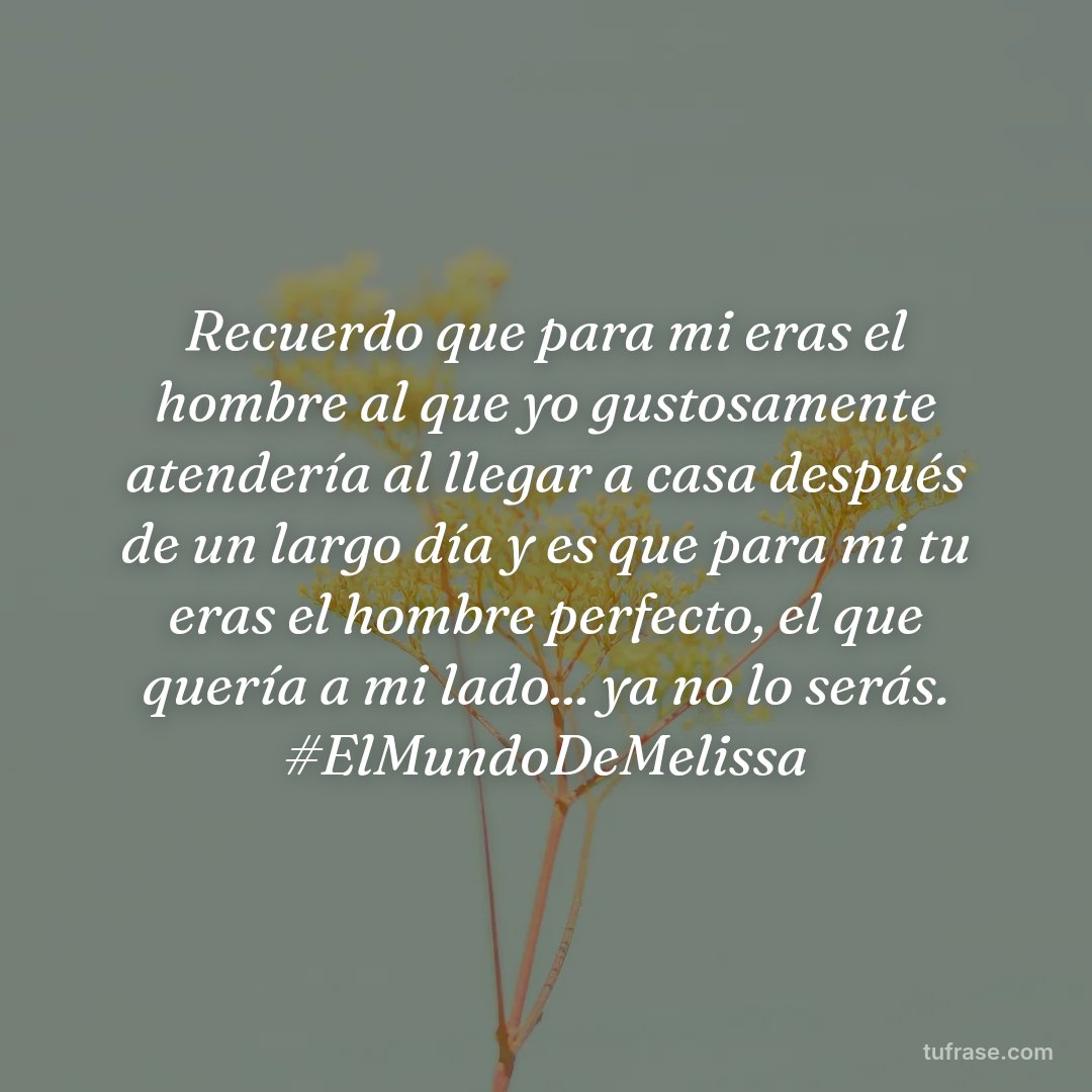 Recuerdo que para mi eras el hombre al que yo gustosamente atendería al llegar a casa después de un largo día y es que para mi tu eras el hombre perfecto, el que quería a mi lado... ya no lo serás. #ElMundoDeMelissa