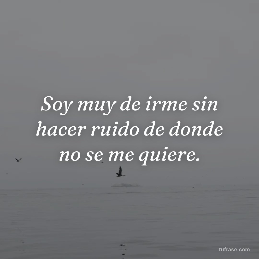 Soy muy de irme sin hacer ruido de donde no se me quiere.