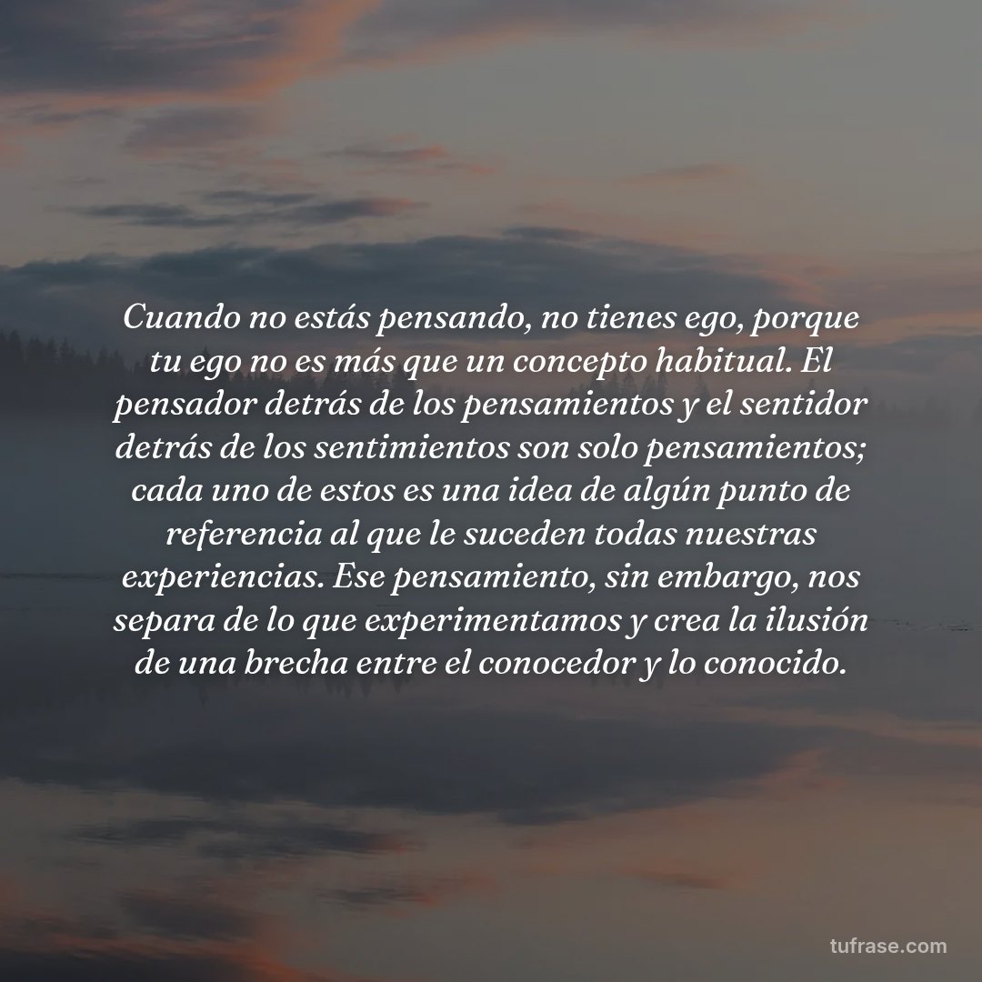 Cuando no estás pensando, no tienes ego, porque tu ego no es más que un concepto habitual. El pensador detrás de los pensamientos y el sentidor detrás de los sentimientos son solo pensamientos; cada uno de estos es una idea de algún punto de referencia al que le suceden todas nuestras experiencias. Ese pensamiento, sin embargo, nos separa de lo que experimentamos y crea la ilusión de una brecha entre el conocedor y lo conocido.