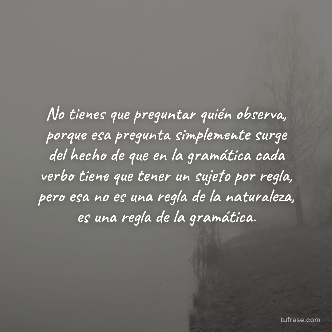 No tienes que preguntar quién observa, porque esa pregunta simplemente surge del hecho de que en la gramática cada verbo tiene que tener un sujeto por regla, pero esa no es una regla de la naturaleza, es una regla de la gramática.