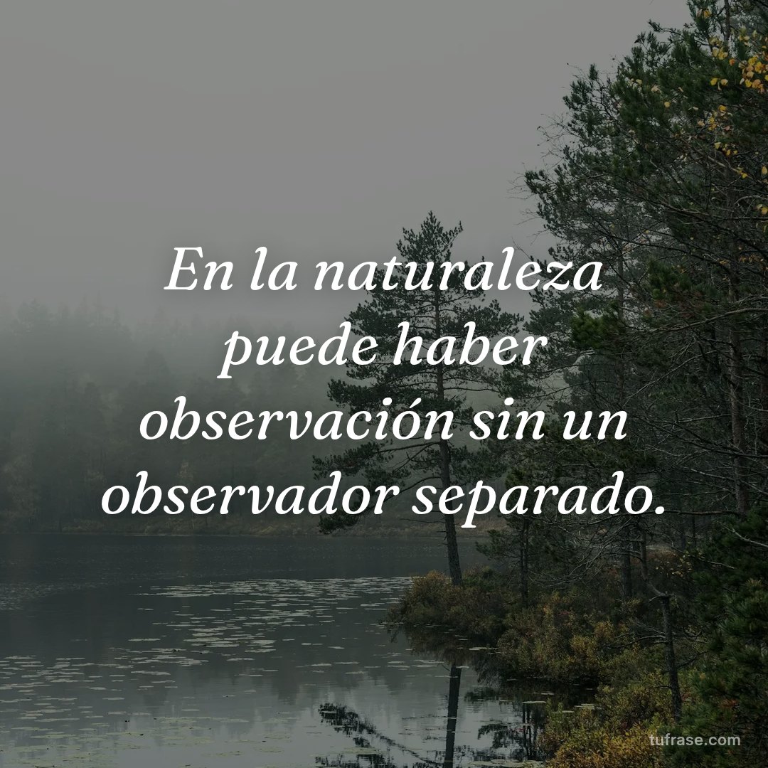 En la naturaleza puede haber observación sin un observador separado.