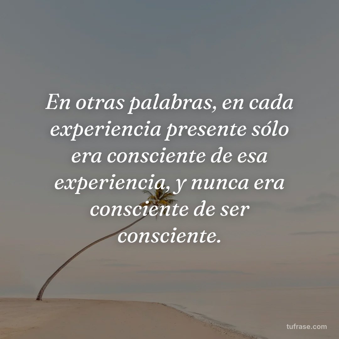 En otras palabras, en cada experiencia presente sólo era consciente de esa experiencia, y nunca era consciente de ser consciente.