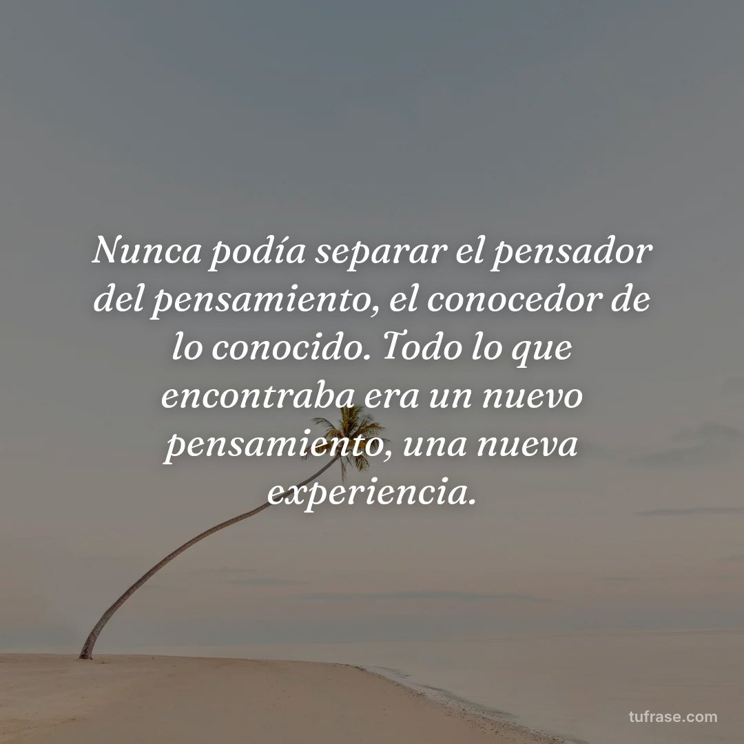 Nunca podía separar el pensador del pensamiento, el conocedor de lo conocido. Todo lo que encontraba era un nuevo pensamiento, una nueva experiencia.