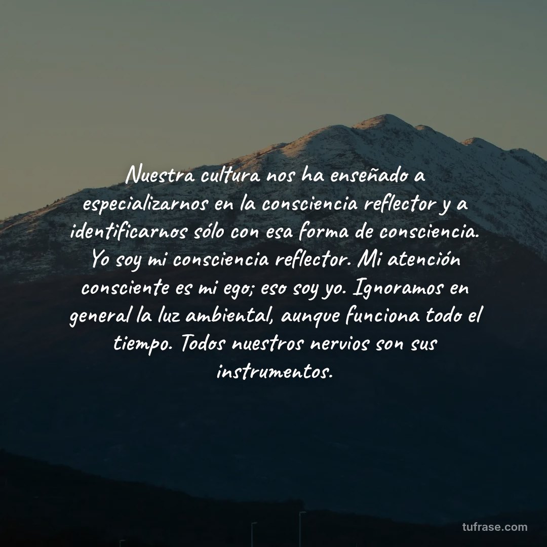 Nuestra cultura nos ha enseñado a especializarnos en la consciencia reflector y a identificarnos sólo con esa forma de consciencia. Yo soy mi consciencia reflector. Mi atención consciente es mi ego; eso soy yo. Ignoramos en general la luz ambiental, aunque funciona todo el tiempo. Todos nuestros nervios son sus instrumentos.