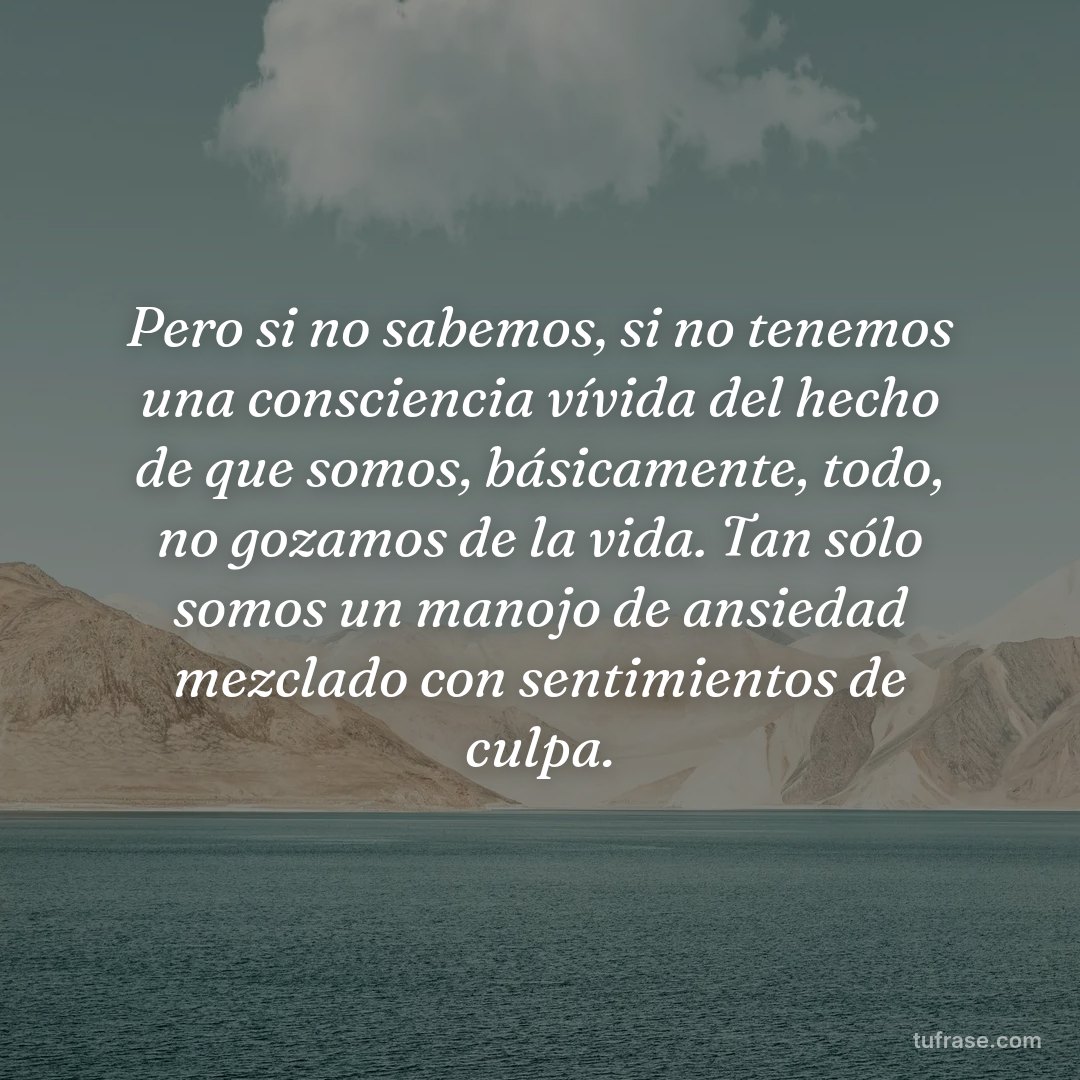 Pero si no sabemos, si no tenemos una consciencia vívida del hecho de que somos, básicamente, todo, no gozamos de la vida. Tan sólo somos un manojo de ansiedad mezclado con sentimientos de culpa.