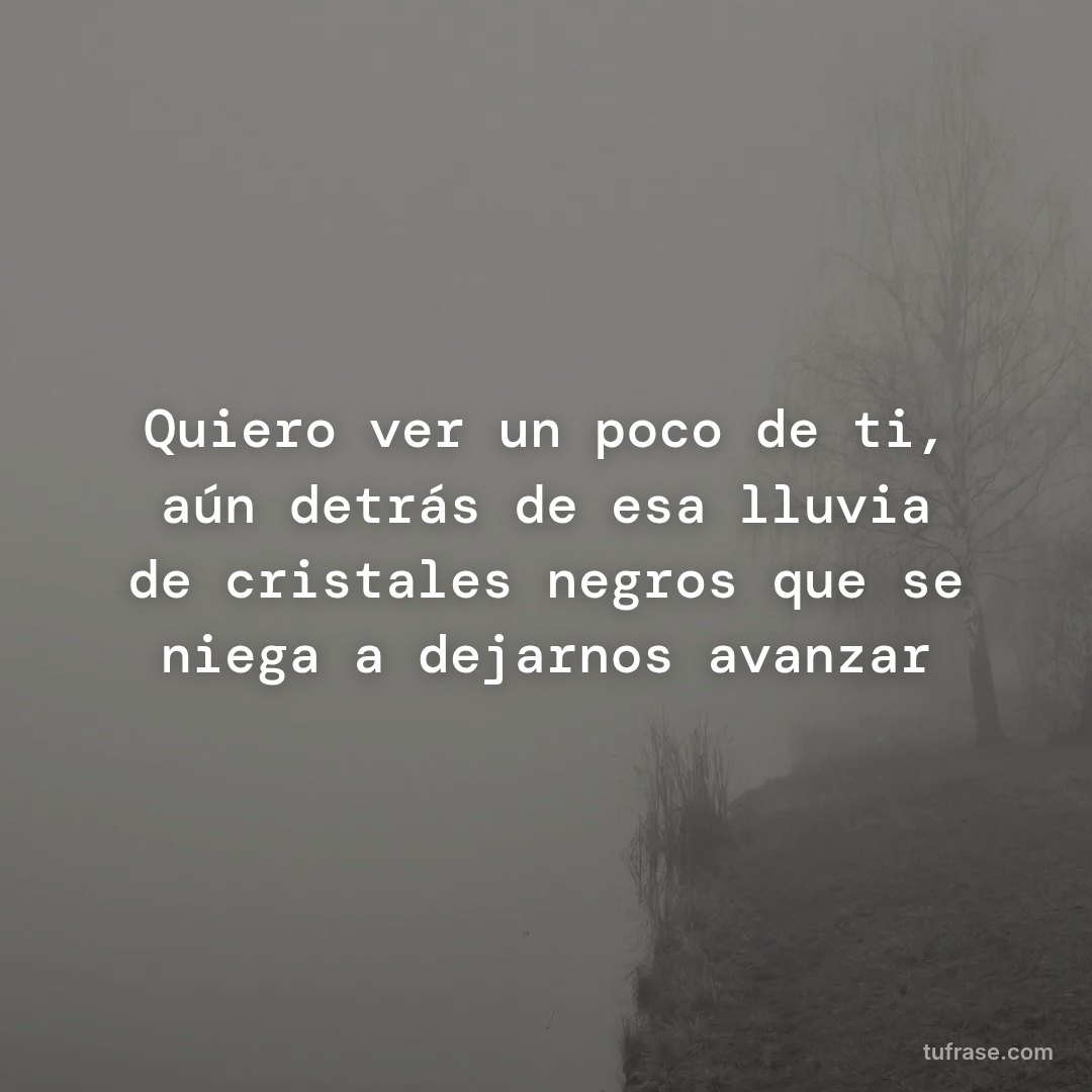 Quiero ver un poco de ti, aún detrás de esa lluvia de cristales negros que se niega a dejarnos avanzar