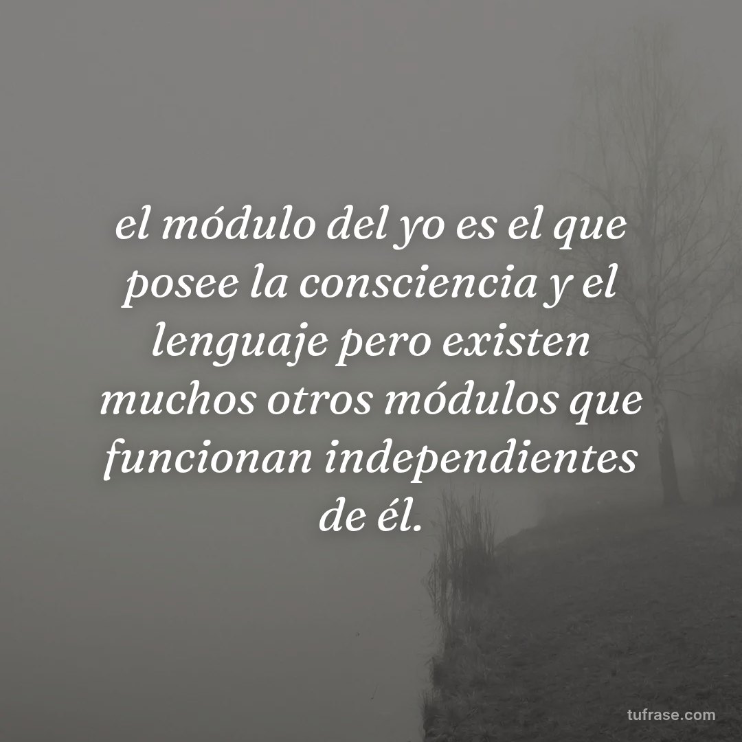 el módulo del yo es el que posee la consciencia y el lenguaje pero existen muchos otros módulos que funcionan independientes de él.
