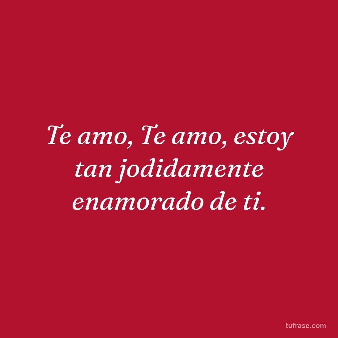Te amo, Te amo, estoy tan jodidamente enamorado de ti.