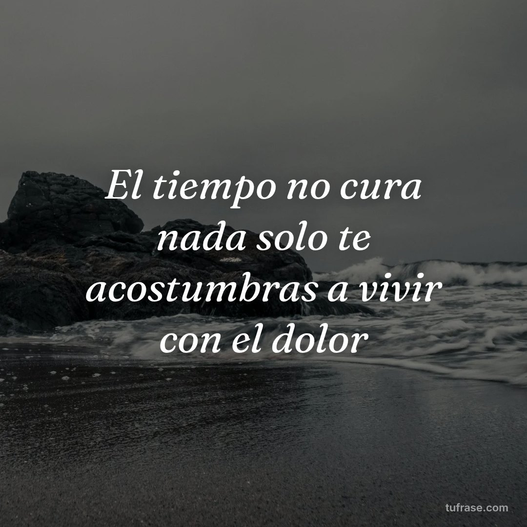 El tiempo no cura nada solo te acostumbras a vivir con el dolor