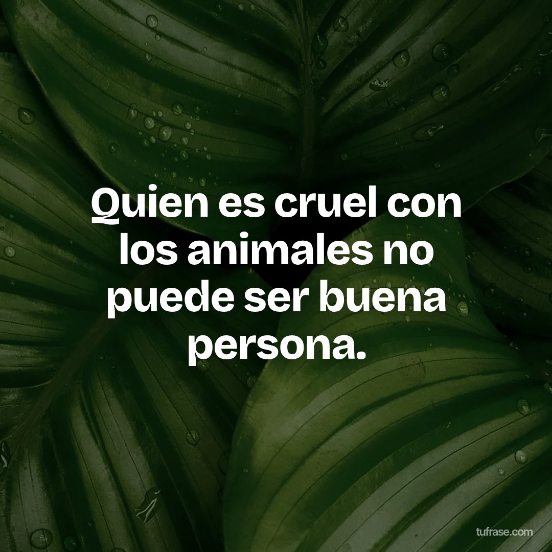 Quien es cruel con los animales no puede ser buena persona.