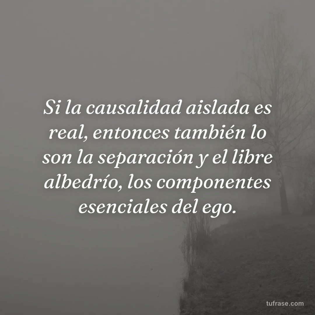 Si la causalidad aislada es real, entonces también lo son la separación y el libre albedrío, los componentes esenciales del ego.