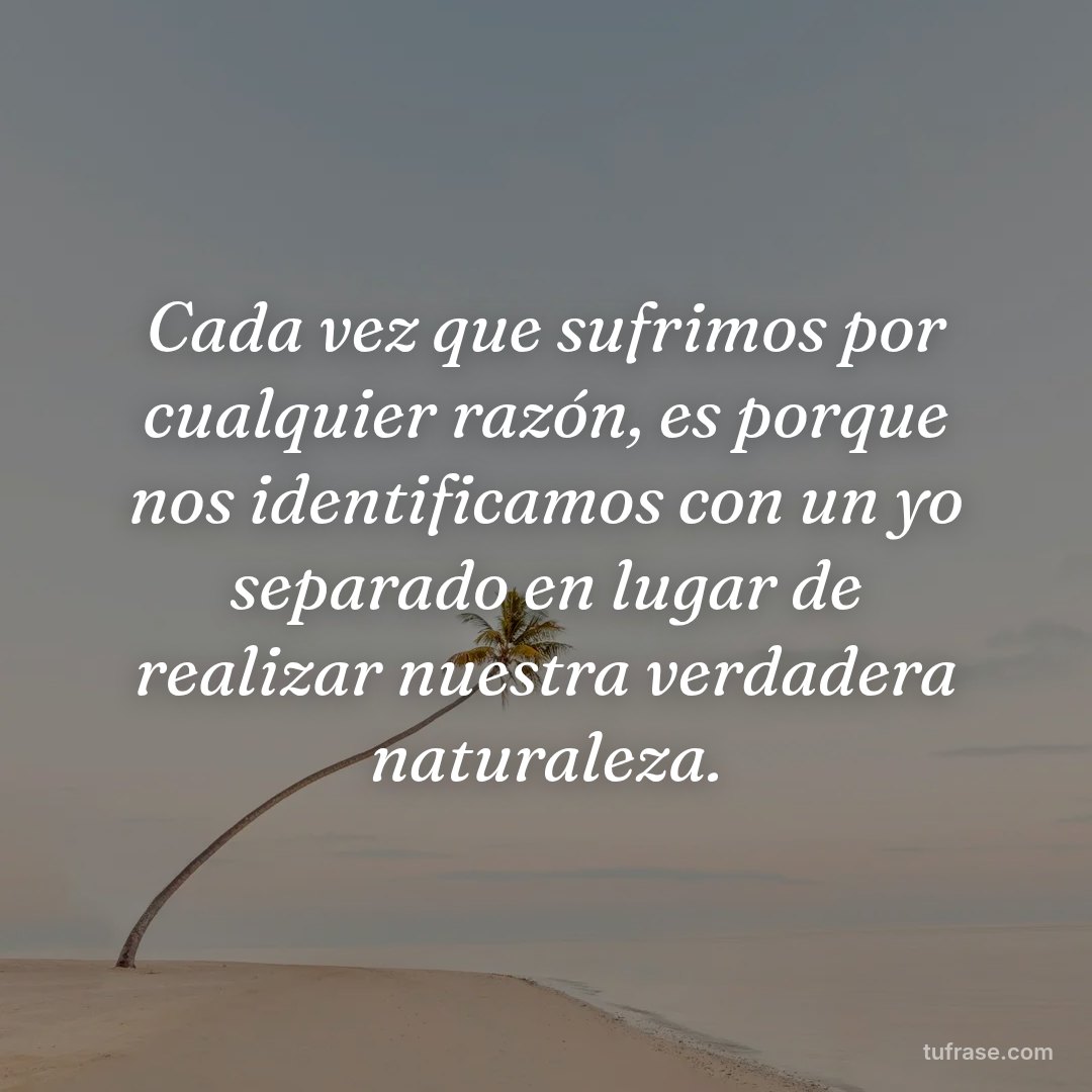 Cada vez que sufrimos por cualquier razón, es porque nos identificamos con un yo separado en lugar de realizar nuestra verdadera naturaleza.