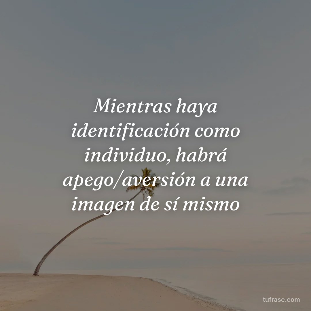 Mientras haya identificación como individuo, habrá apego/aversión a una imagen de sí mismo