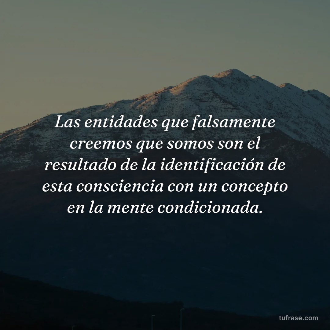 Las entidades que falsamente creemos que somos son el resultado de la identificación de esta consciencia con un concepto en la mente condicionada.