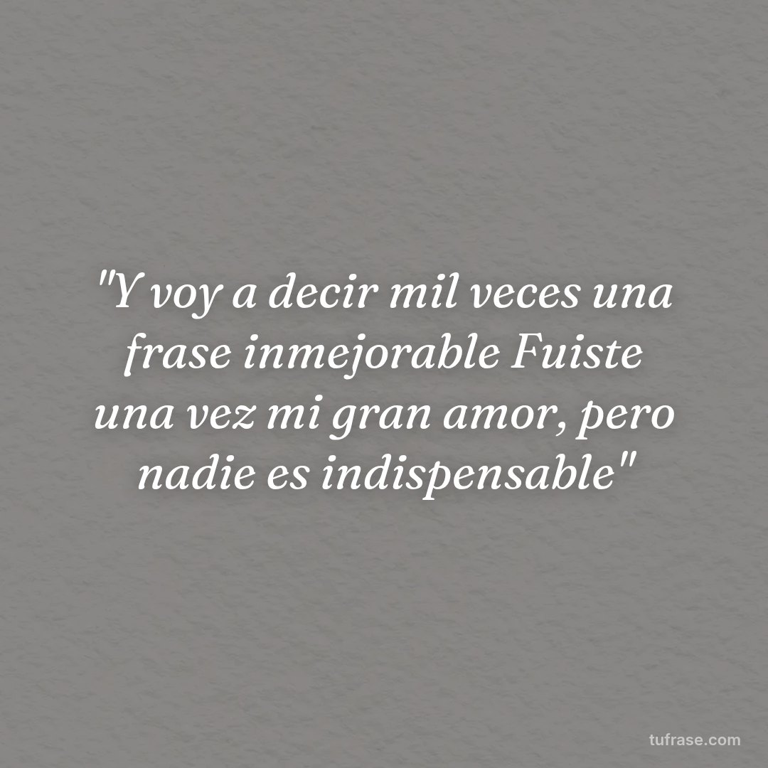 "Y voy a decir mil veces una frase inmejorable Fuiste una vez mi gran amor, pero nadie es indispensable"