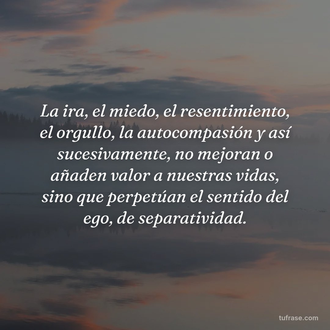 La ira, el miedo, el resentimiento, el orgullo, la autocompasión y así sucesivamente, no mejoran o añaden valor a nuestras vidas, sino que perpetúan el sentido del ego, de separatividad.